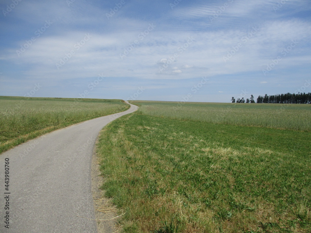 geschwungene schmale Straße zum Horizont geschwungene schmale Straße zum Horizont