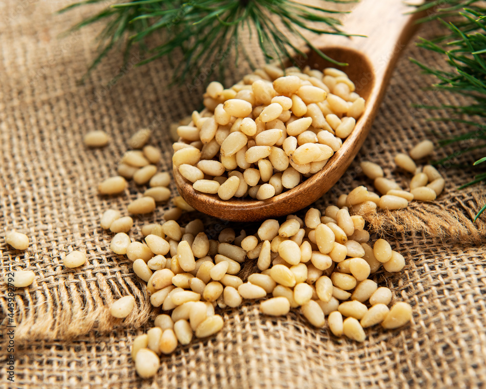 Fototapeta premium Pine nuts