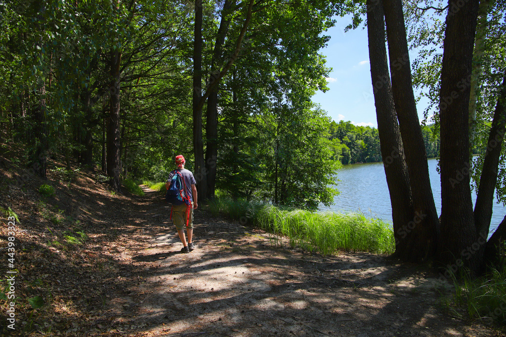 Obraz premium Hiking around the Treppel lake (Treppelsee), federal state Brandenburg, Germany
