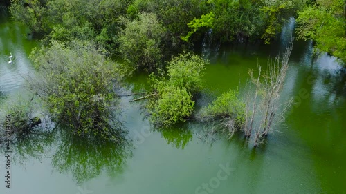 Algae swamp marsh Woodlakes Park Kings Lynn United Kingdom aerial photo