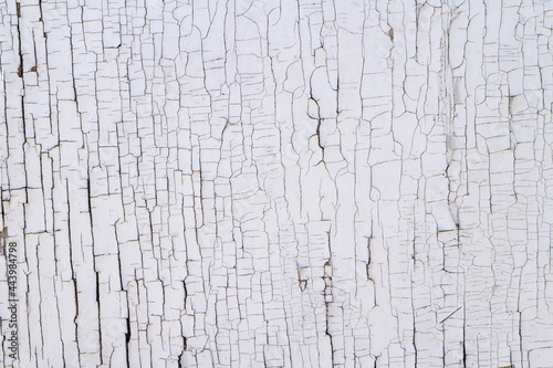 Textured wood surface covered with white, old, peeling paint and cracks. The rough finish is dirty, cracked and crumbling to a vintage look. The background and copy space.