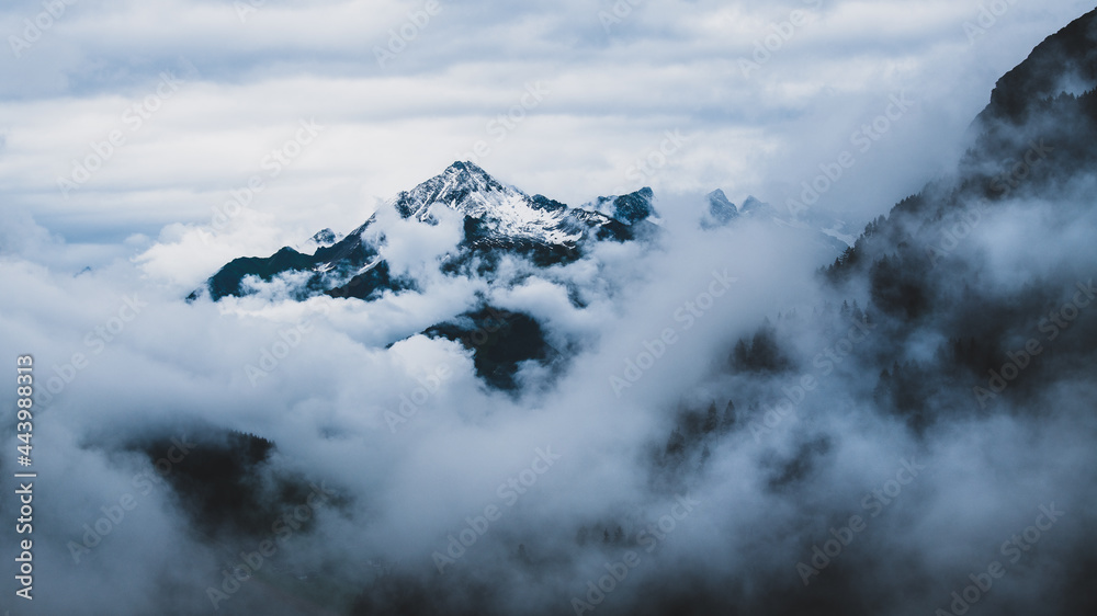Verschneiter Gipfel im Nebelmeer - Zillertal, Tirol in Österreich