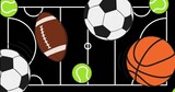 Digitally generated image of multiple sports balls icons against sports field layout in background
