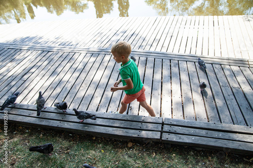 Happy preschooler boy running on wooden walkway near pigeons while playing on lake shore in park in sunny summer day