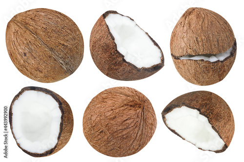 Collection or set of delicious coconuts, isolated on white background
