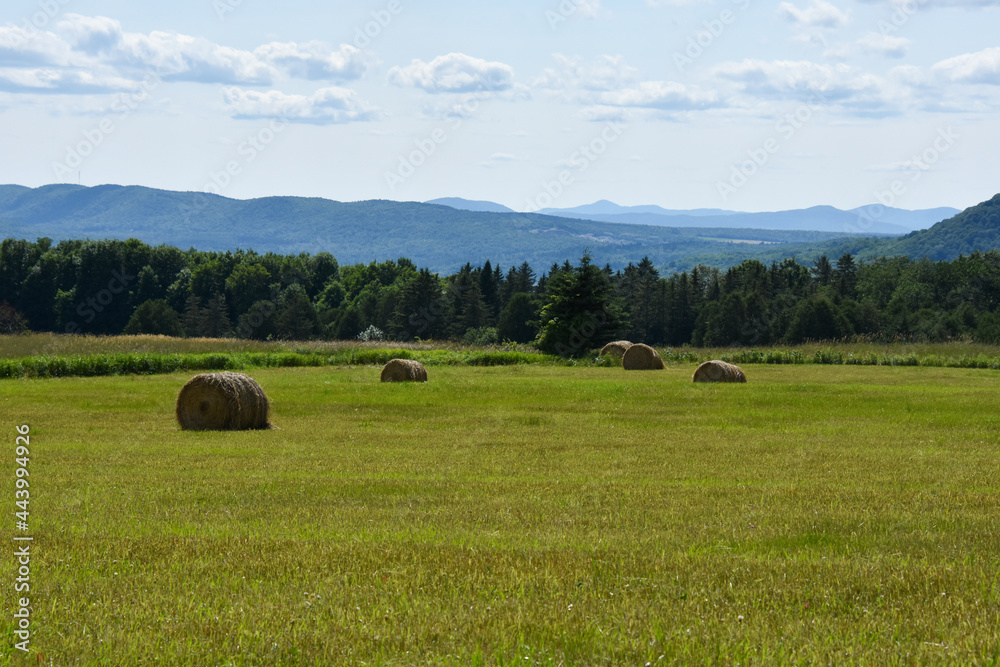 Countryside landscape with farm in Quebec, Canada Countryside landscape with farm in Quebec, Canada