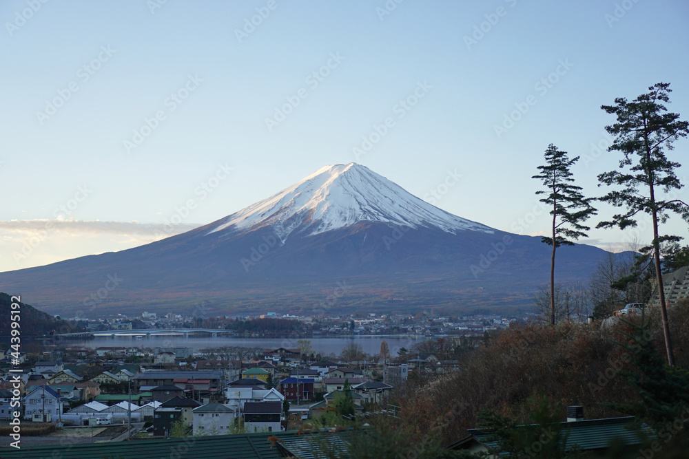 Obraz premium Mount Fuji near lake Kawaguchiko in the morning, Fuji mountain the highest volcano in Japan.