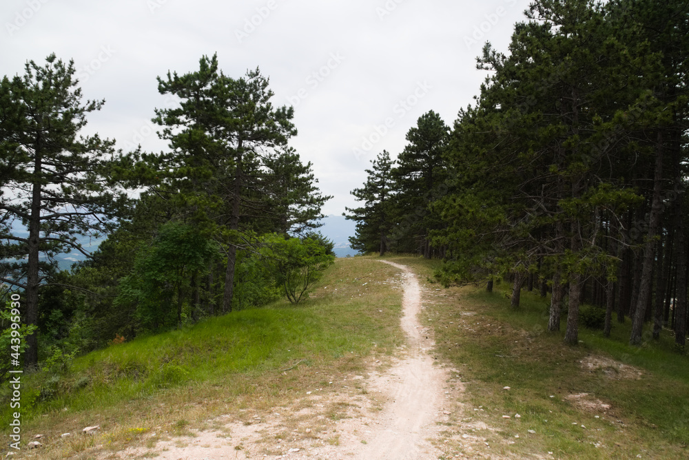 Vista lungo il sentiero 441 che va dal santuario del Pelingo al monte Pietralata nel paco della gola del furlo Vista lungo il sentiero 441 che va dal santuario del Pelingo al monte Pietralata nel paco della gola del furlo