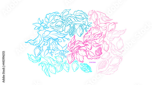 Cocoa paradise background Hand drawn vector design