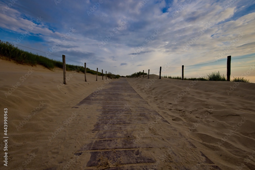 Dunes and landscape on the beach of Petten