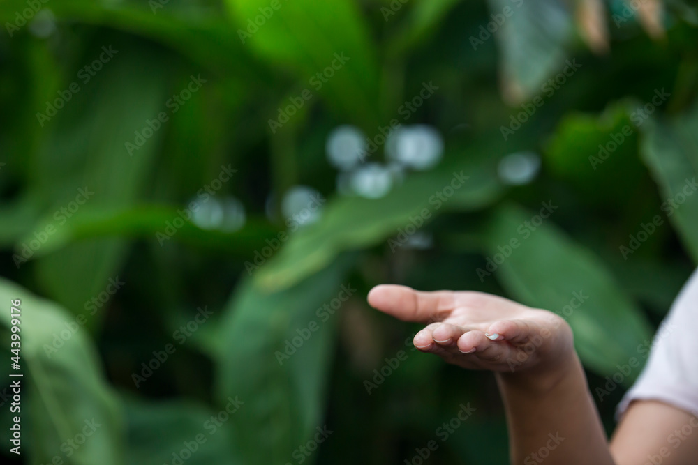 Technology, hand holding with environment Icons over the Network connection on green background. Technology, hand holding with environment Icons over the Network connection on green background.