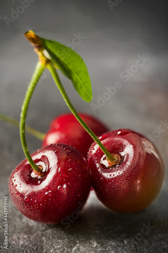 Fresh sweet cherry berries with water drops closeup.