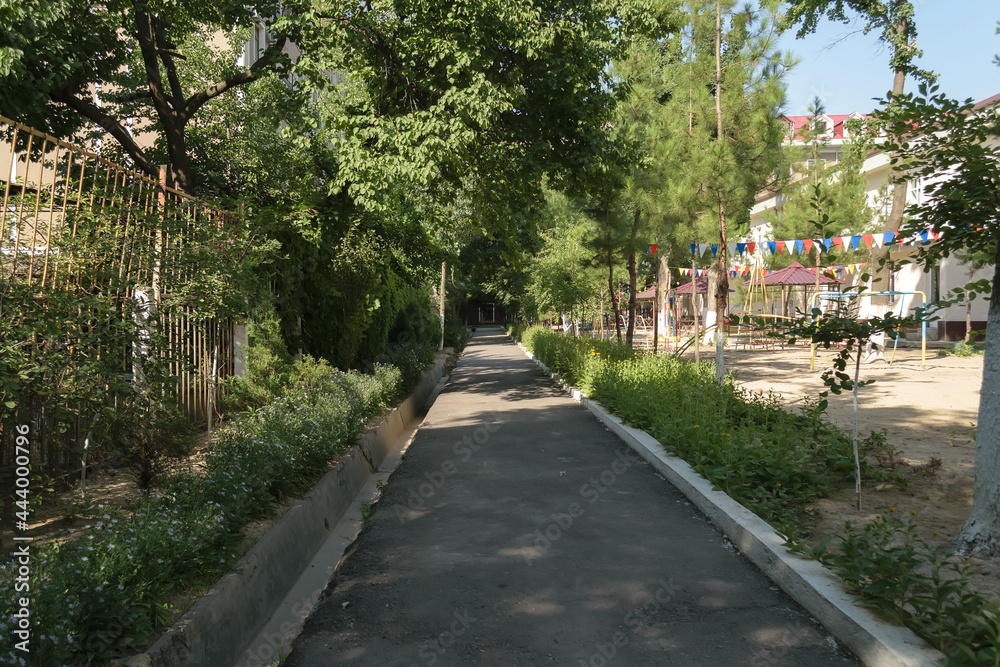 Asphalt alley in the park among trees and flowers near a children's playground