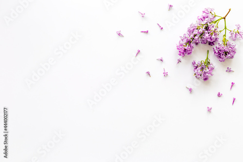 Flowers composition. Purple lilac flay lay, copy space