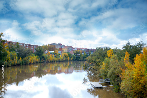 Landscape photography under white cloudy sky - Autumn trees turn to yellow  Beautiful colored trees with lake in autumn  landscape photography  Outdoor photography in Spain Valladolid.