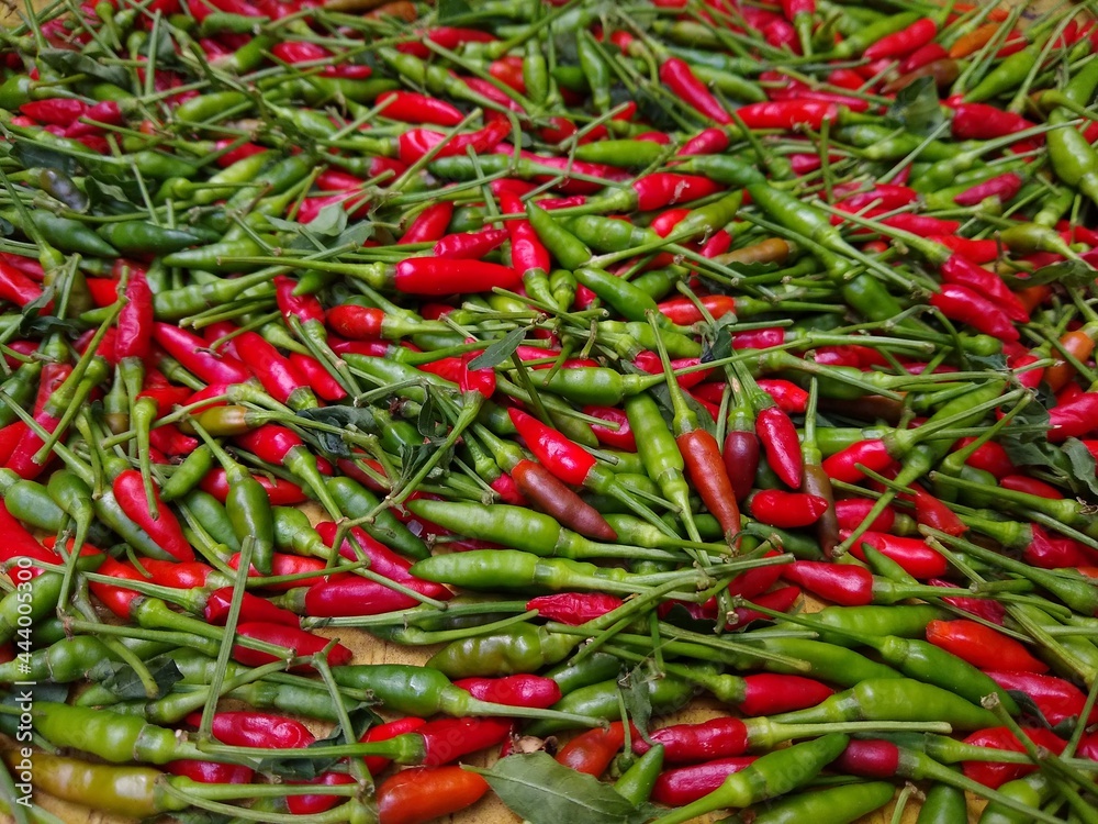 Bird's eye chilli, green and red colour chillies