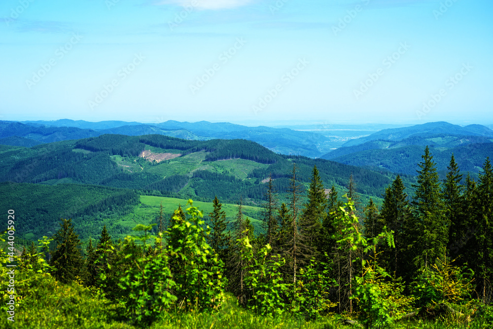 Fototapeta premium Forested mountains in a scenic landscape view