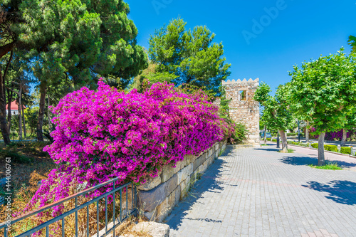 Fototapeta Naklejka Na Ścianę i Meble -  Ancient Roman Agora wall and colorful street view in Kos Town 