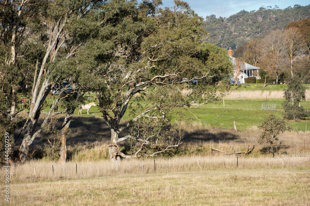 Harcourt North, country town in Victoria, Australia Harcourt North, country town in Victoria, Australia