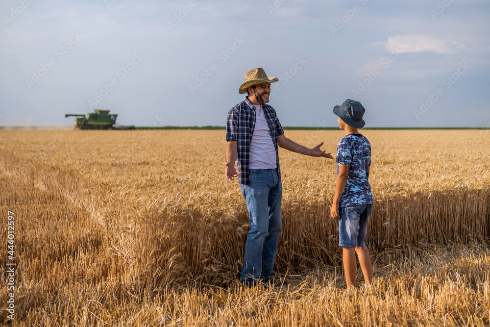 Farmers are standing in their wheat field while the harvesting is taking place. Father is teaching his son about agriculture.