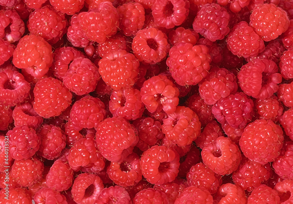 Ripe raspberries, colorful pattern of fresh red raspberries for background. Scarlet crimson field, flat lay. Raspberry juice ingredients. Ripe raspberries, colorful pattern of fresh red raspberries for background. Scarlet crimson field, flat lay. Raspberry juice ingredients.