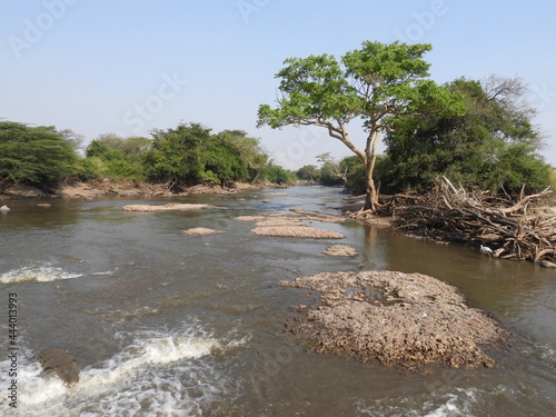 grumeti river serengeti  photo