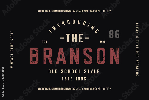 The Branson. Sans Serif Octagonal Font. Clean & Textured Version Included. Vector