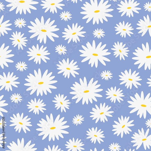 Fototapeta Naklejka Na Ścianę i Meble -  daisies on a light blue background