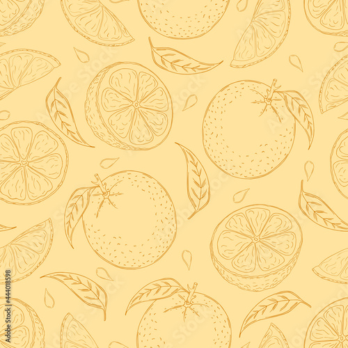 Seamless vector pattern of line hand drawn oranges on light orange background. Design for organic or natural products packaging