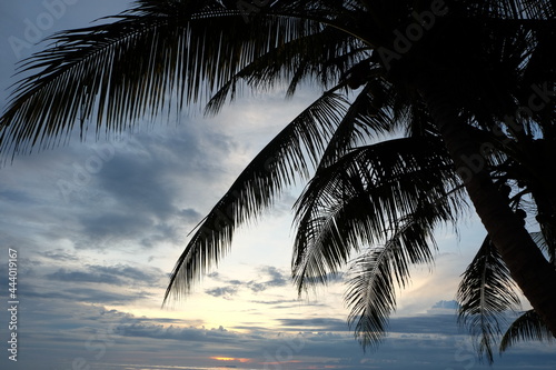 Sonnenuntergang im Paradies am Strand mit Palmen