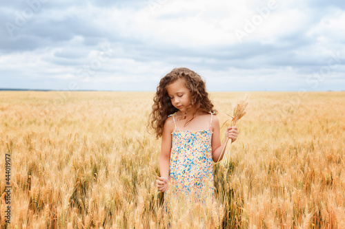 A young girl walking in a wheat field