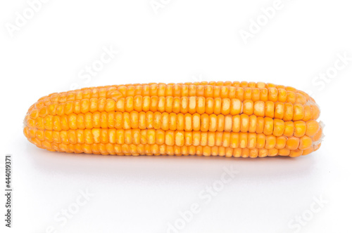 Beautiful ripe yellow dried corn on a white background.  Dried corn for animals.  Dried corn seeds. 