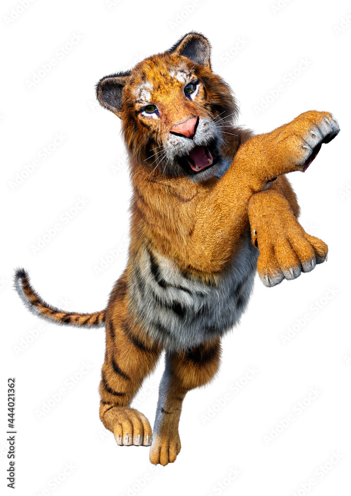 Obraz premium 3D Rendering Big Cat Tiger on White