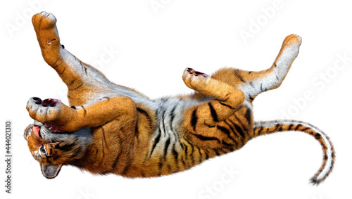 Fototapeta Naklejka Na Ścianę i Meble -  3D Rendering Big Cat Tiger on White
