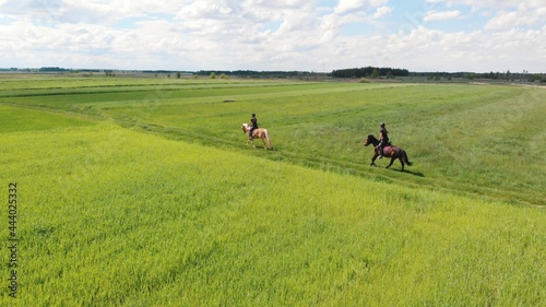 Two horse riders on a Palomino horse and a Dark Bay Horse moving across the beautiful farm field during the daytime. Aerial view of the beautiful meadows. Horse riders in the field. Cloudy sky.