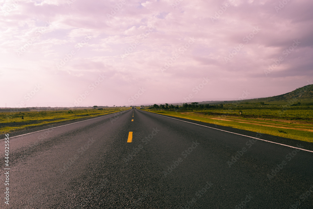 Fototapeta premium road in the countryside