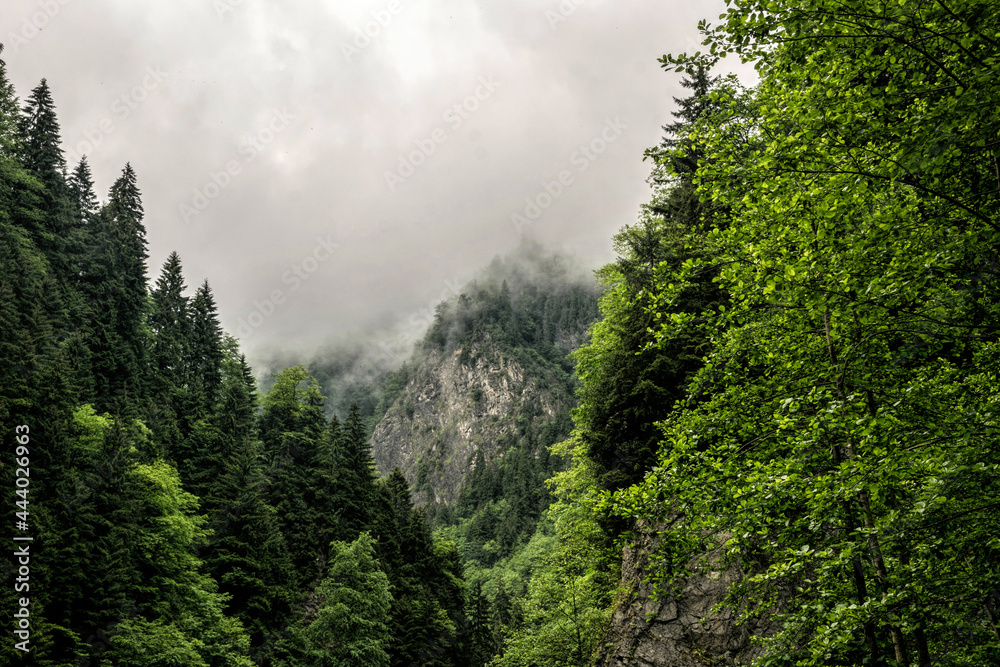 Fototapeta premium Foggy weather in the mountains