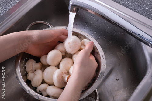 champignons are washed in the kitchen under running water