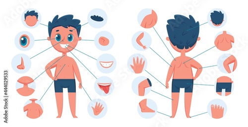 Boy body parts. Child body part anatomy education for children. Learning face parts for kids. Vector preschool educational infographic. Human medical or biological study male elements