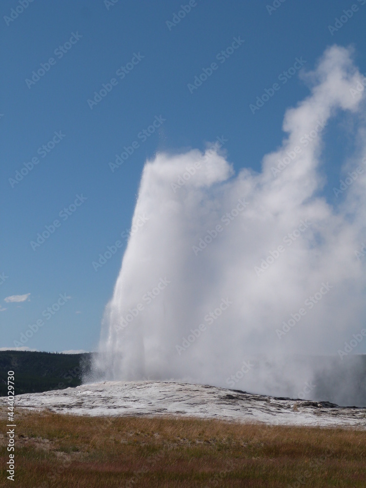 Geyser à Yellowstone