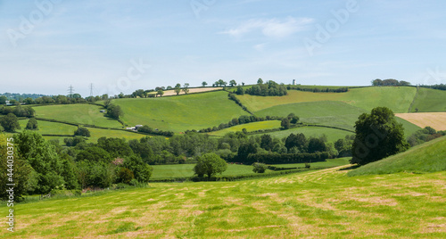 Devon countryside of fields and a windmill