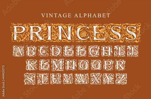 The word PRINCESS. Vintage Alphabet, vector set of ornate initial alphabet letters on a brown background. Luxury design of Beautiful hand-drawn royal font for card, invitation, monogram, label, logo