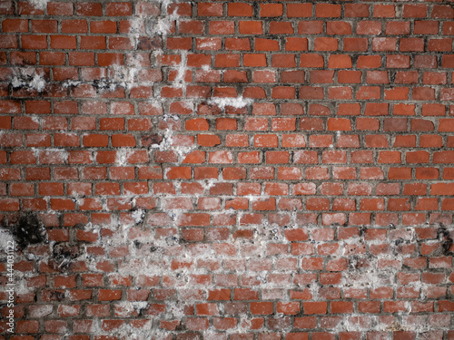 Texture de mur en briques