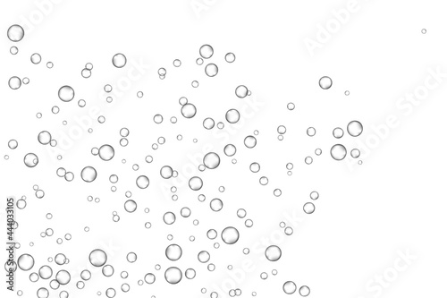 Air bubbles, oxygen, champagne crystal clear, isolated on white background modern design. Vector illustration EPS 10.