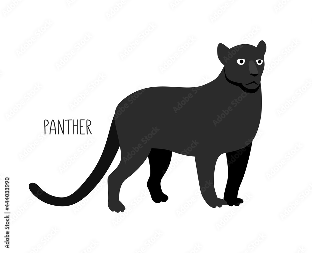 Panther is a wild cat. Title. Vector flat illustration of animal isolated on white background.