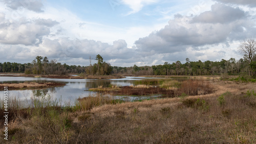 Panoramic shot of a pond on an early morning in winter.