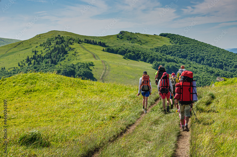 A group of tourists with large backpacks is walking along the beautiful water-producing ridge in the Carpathians. Ukraine