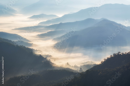 morning view of mountains Sun and mist in the tropical forest © ithisak