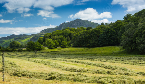 Harter Fell viewed from the Eskdale Valley, Lake District, Cumbria photo