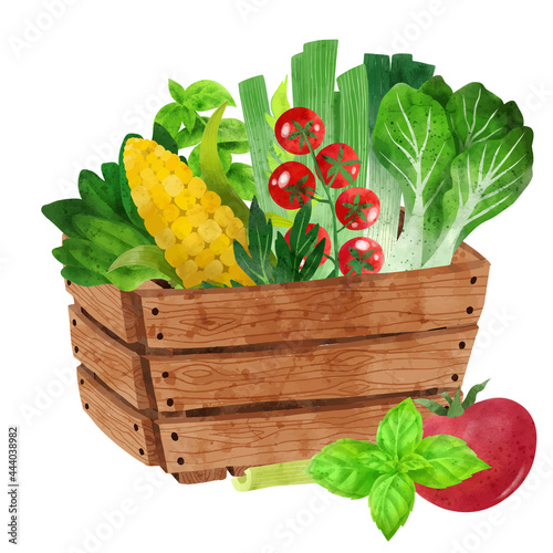 Fresh veggies in wooden box, hand drawn vector